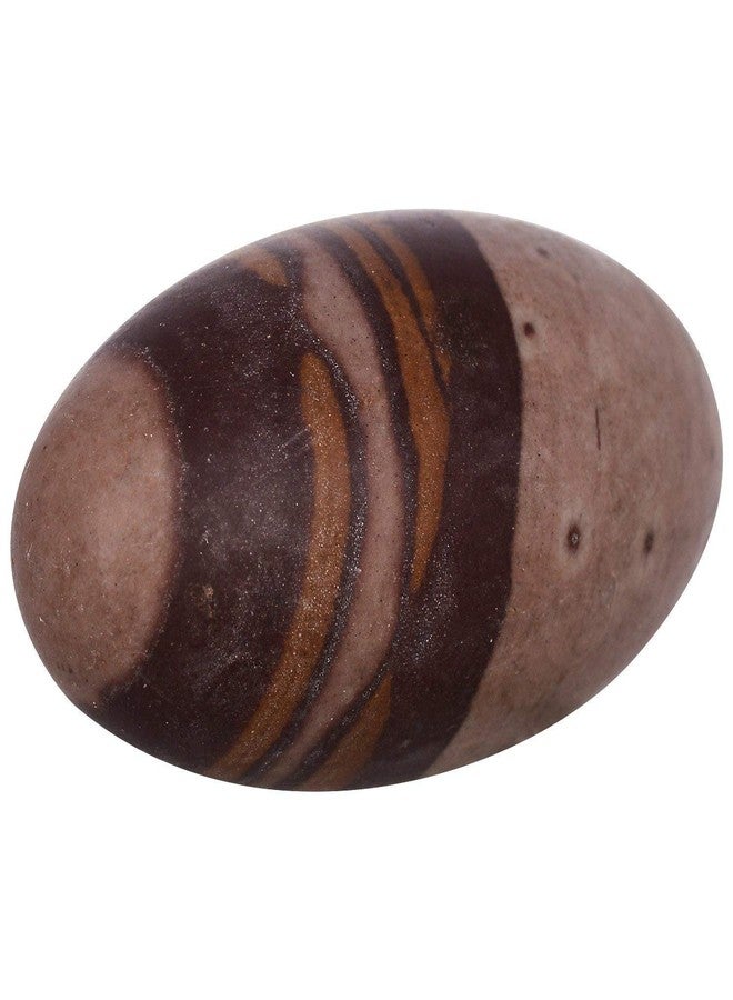 KLEO Esplanade Narmada Stone Narmadeshwar Shiv Ling, Shiva Lingam (5" Inches), Brown - Image 1